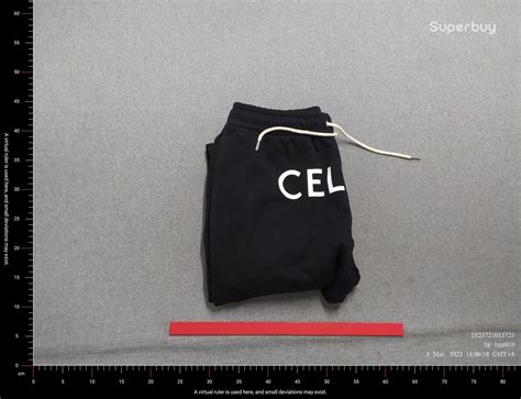 Qc Celine hoodie from 1to1 : r/FashionReps 